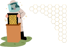 Apicultura como idea de negocio Apicultura como idea de negocio