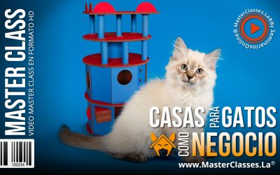 Casas para Gatos como Negocio Rentable