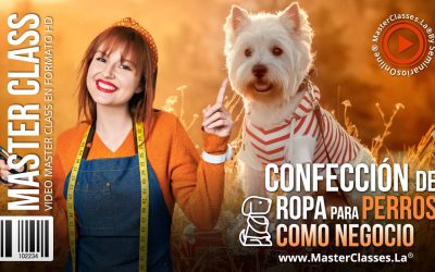 Ropa para Perros como Negocio Rentable
