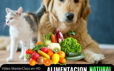 Alimentación Natural Para Mascotas como Negocio Rentable