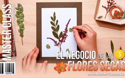 El Rentable Negocio de las Flores Secas
