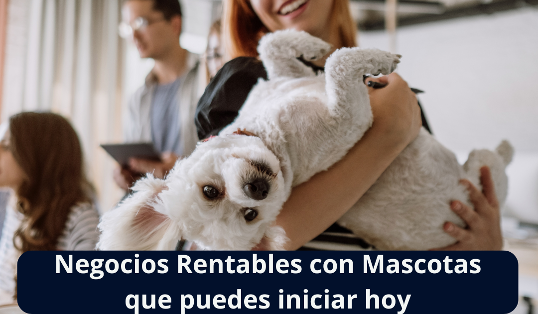 Negocios Rentables con Mascotas Que Puedes Empezar Hoy