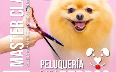 Peluquería para Perros como Negocio Rentable