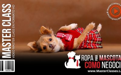 Ropa para Mascotas como un Negocio Rentable