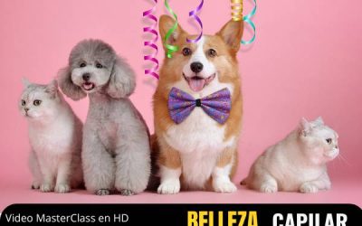 Belleza Capilar Canina y Felina como Negocio Rentable