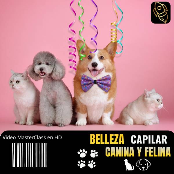 Imagen Belleza Capilar Felina y Canina como Negocio Rentable