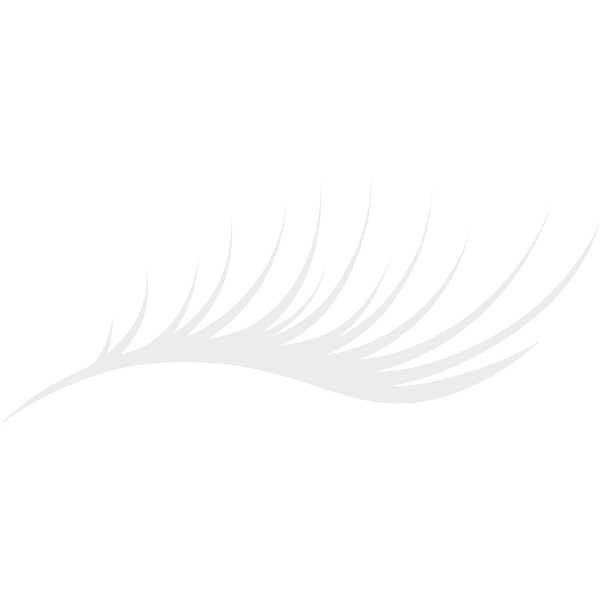 Icono Pestanas Pelo a Pelo como Negocio Rentable Icono Pestanas Pelo a Pelo como Negocio Rentable