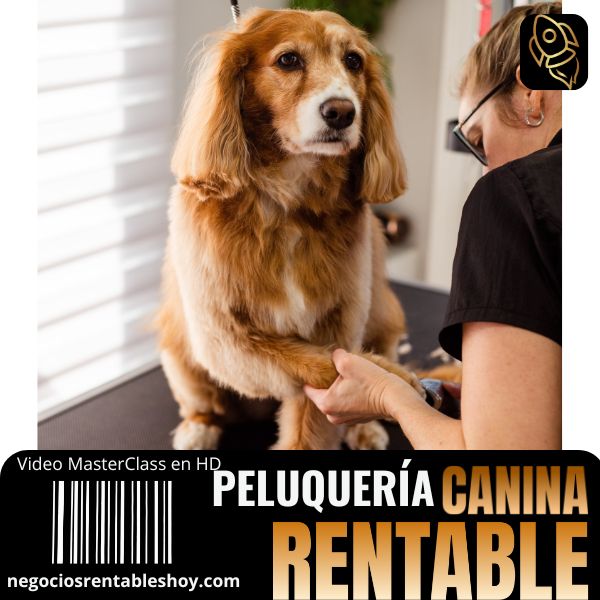 Peluquería Canina Rentable para emprender